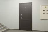Входная дверь Гардиан в экстерьере с отделкой 183